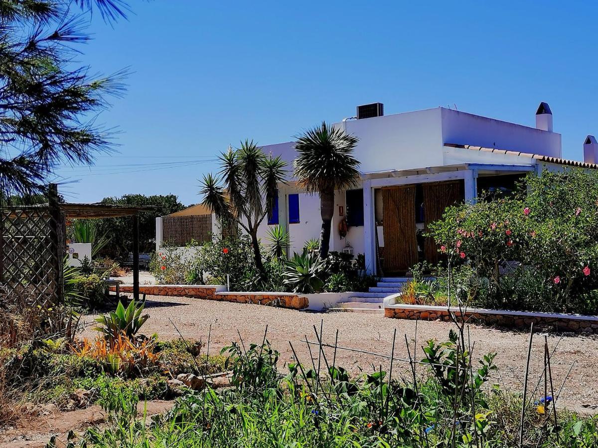 Ca N'Antonia Formentera Villa San Francisco Javier Dış mekan fotoğraf