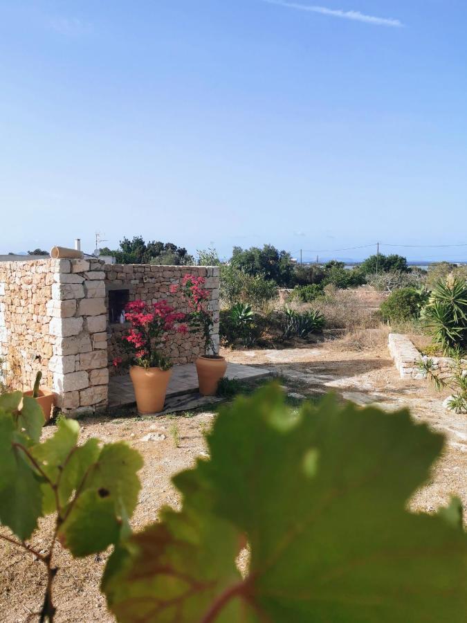 Ca N'Antonia Formentera Villa San Francisco Javier Dış mekan fotoğraf